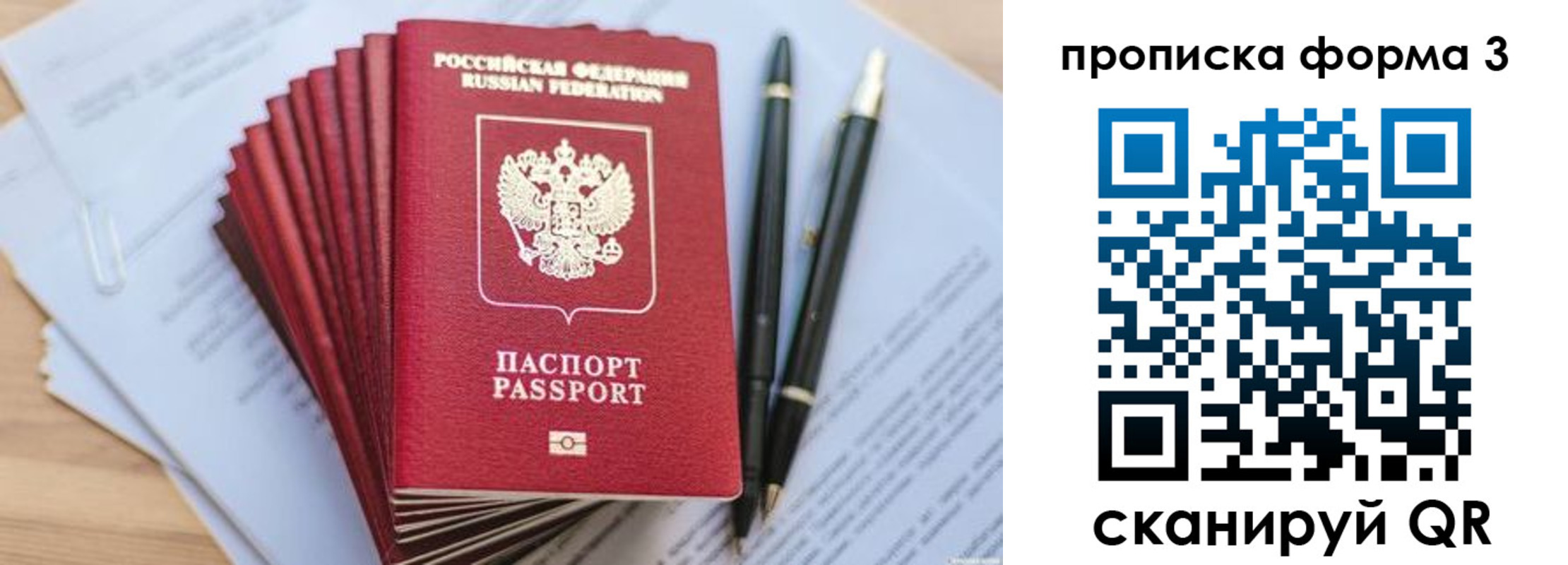 прописка штамп в Светлом